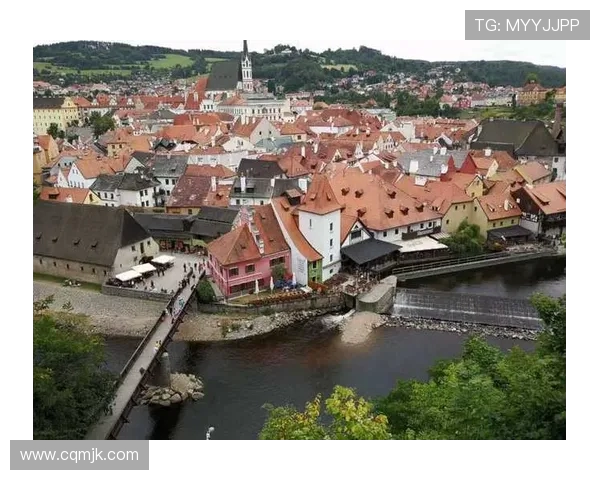 萨尔茨堡与维快速激战正酣谁能在这场对决中笑到最后