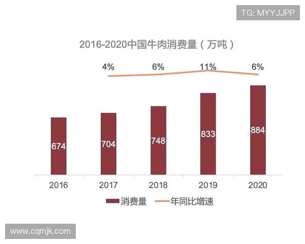 北京排球队速度分析与表现评估:数据背后的故事与启示