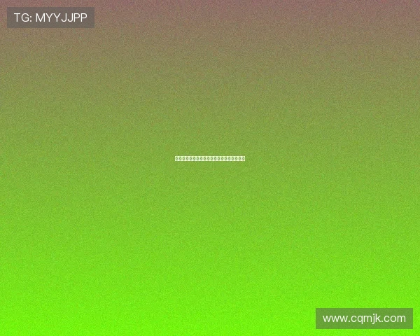 成都网球队区域防守革新之路探索与实践分析