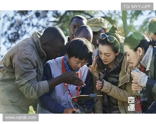 极限挑战与自我超越：杨丽的深度对话与运动人生探索